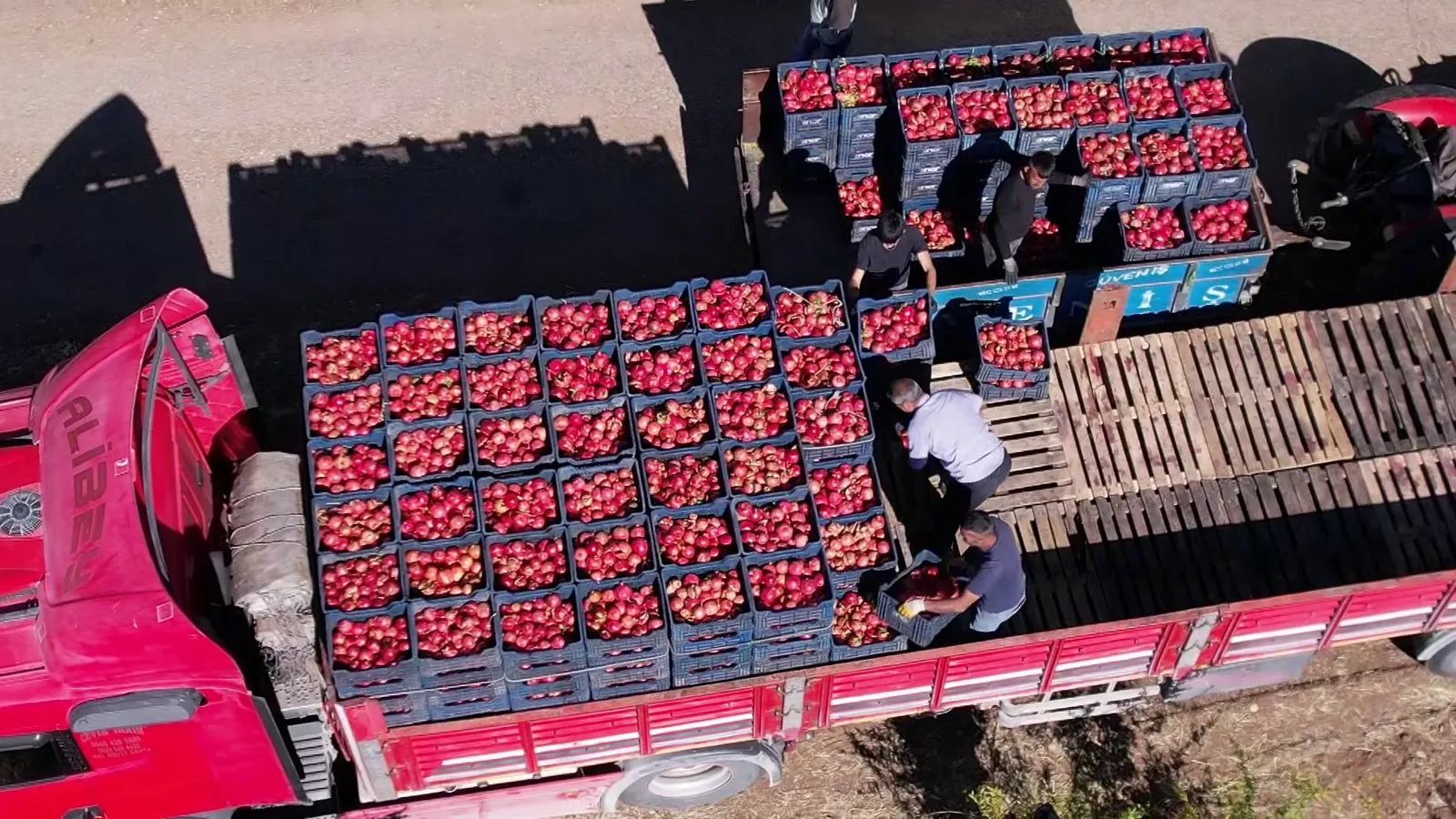 Adıyaman'ın Organik Narları Avrupa Yolcusu