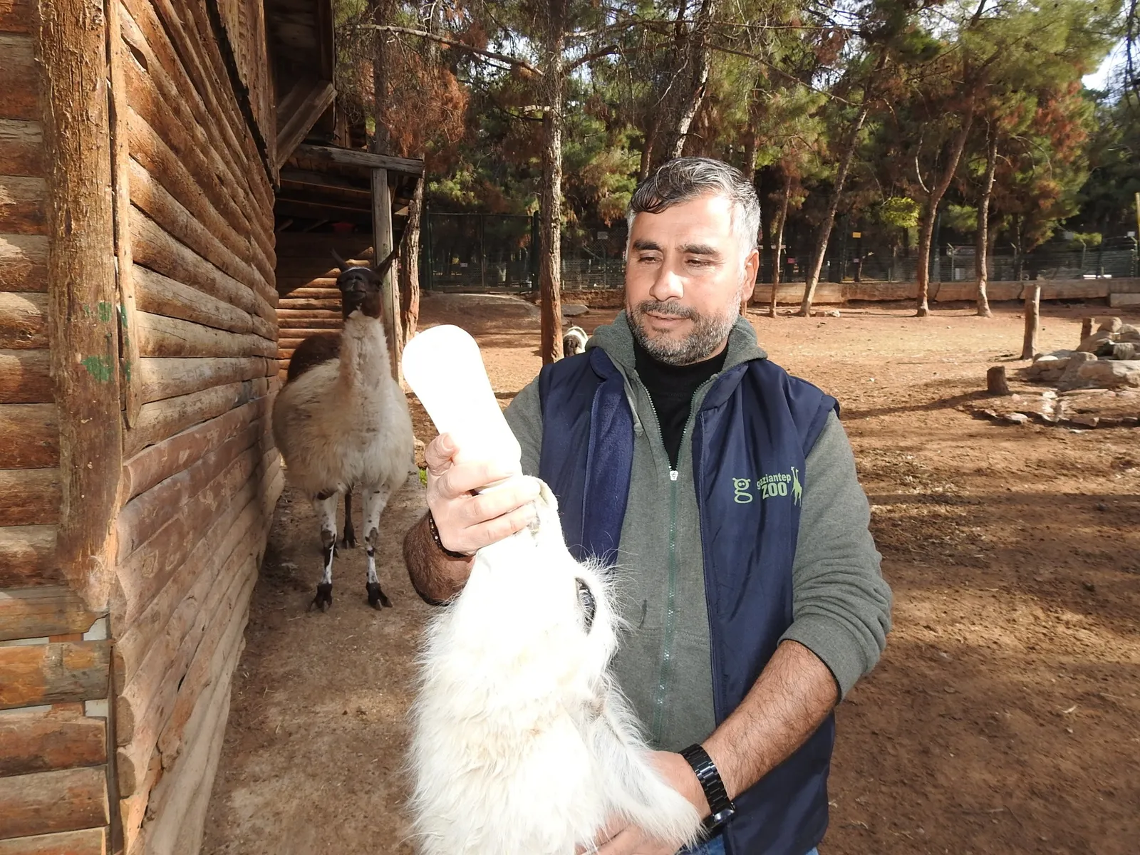 Zoo Parkı'nda Bin 100 Doğum Sevinci Yaşandı