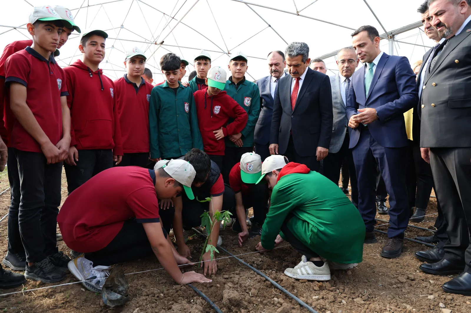 Şırnak'ta Avokado, Pepino, Çarkıfelek Ve Papaya Meyvelerinin Fideleri Ekildi