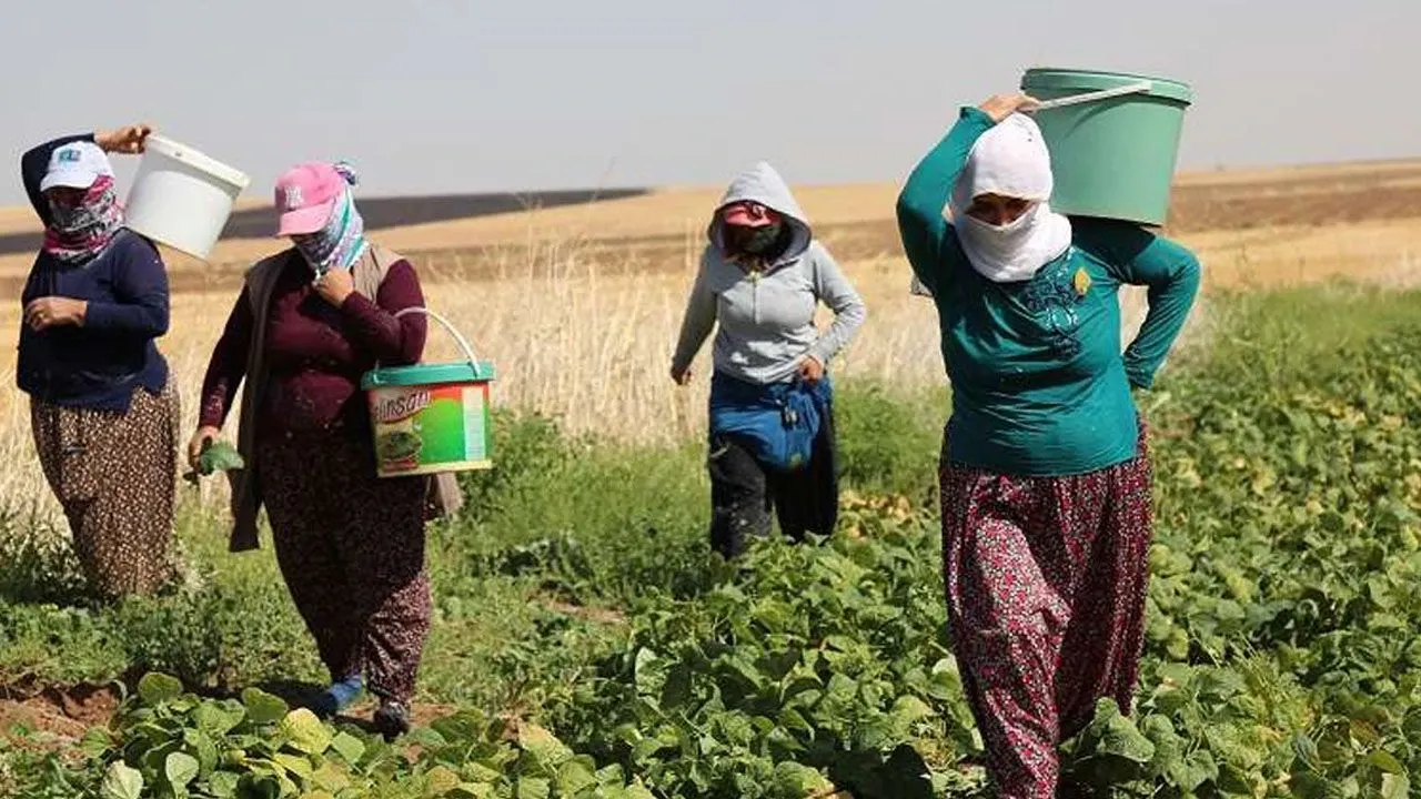 Her 10 Kadından 3’ü Çalışıyor