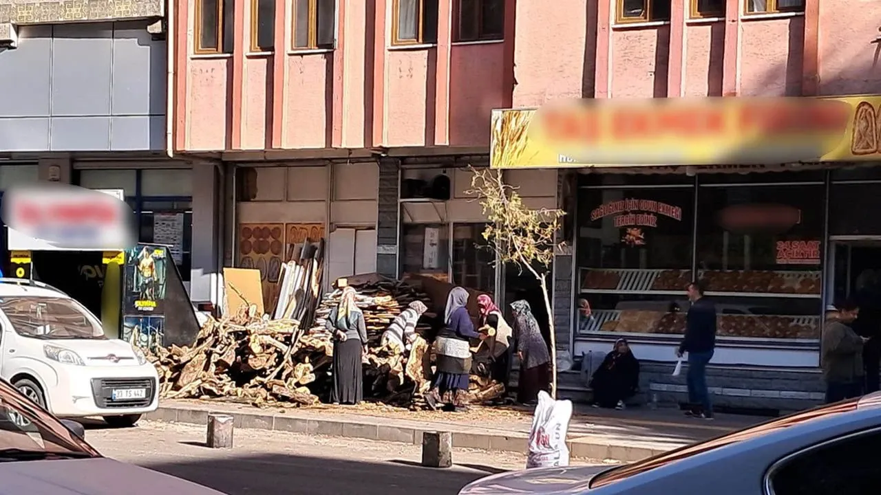 Kadınlar Ekmeğini Odundan Çıkarıyor