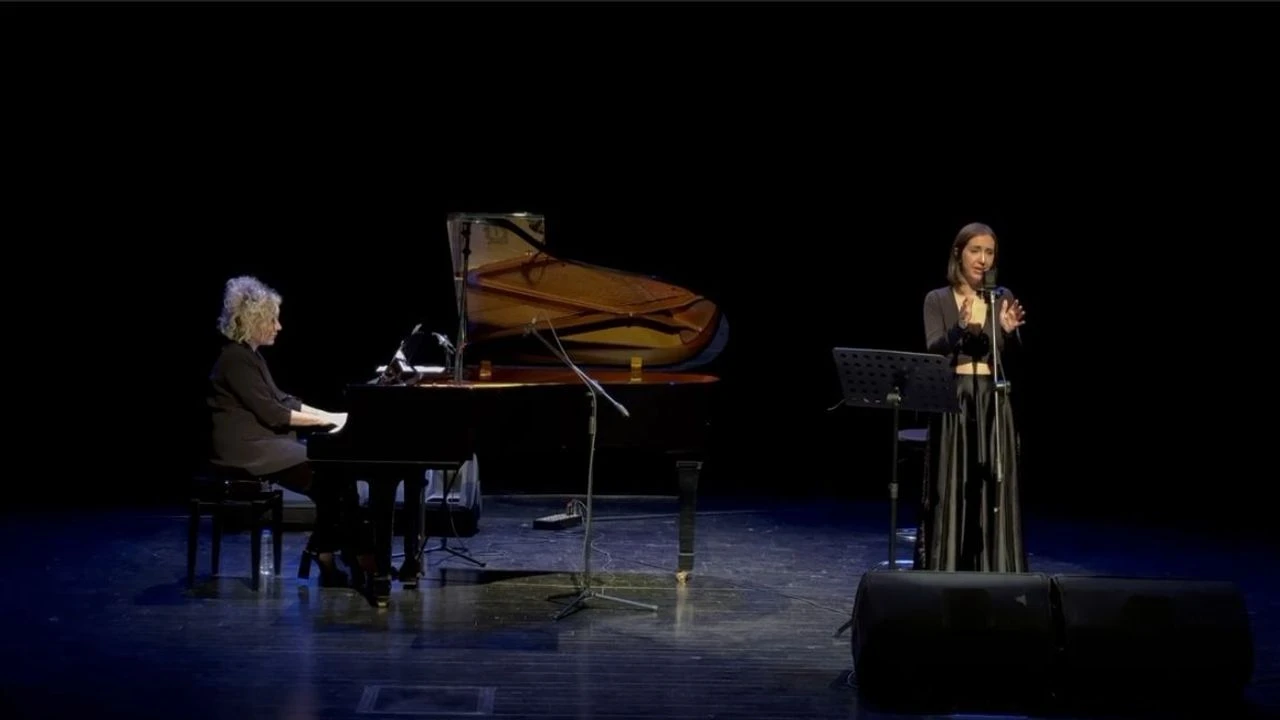 Diyarbakır’daki Konserde Kadın Cinayetlerine Dikkat Çekildi