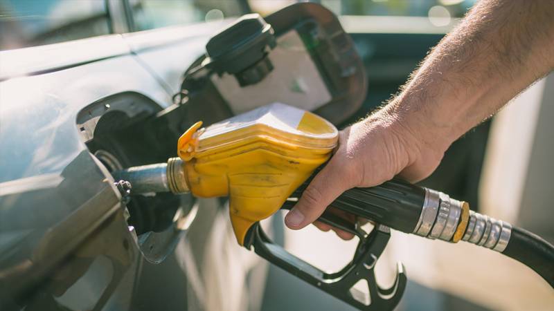 Benzine Zam Geliyor