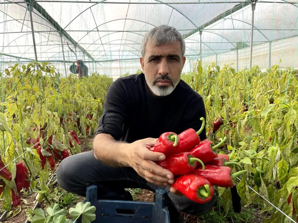 Şanlıurfa'da Seracılık ile Çiftçinin Yüzü Gülüyor