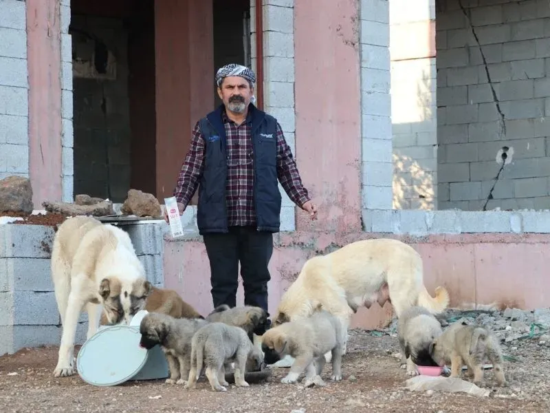 Hurda Geliriyle Sokak Hayvanlarını Besliyor
