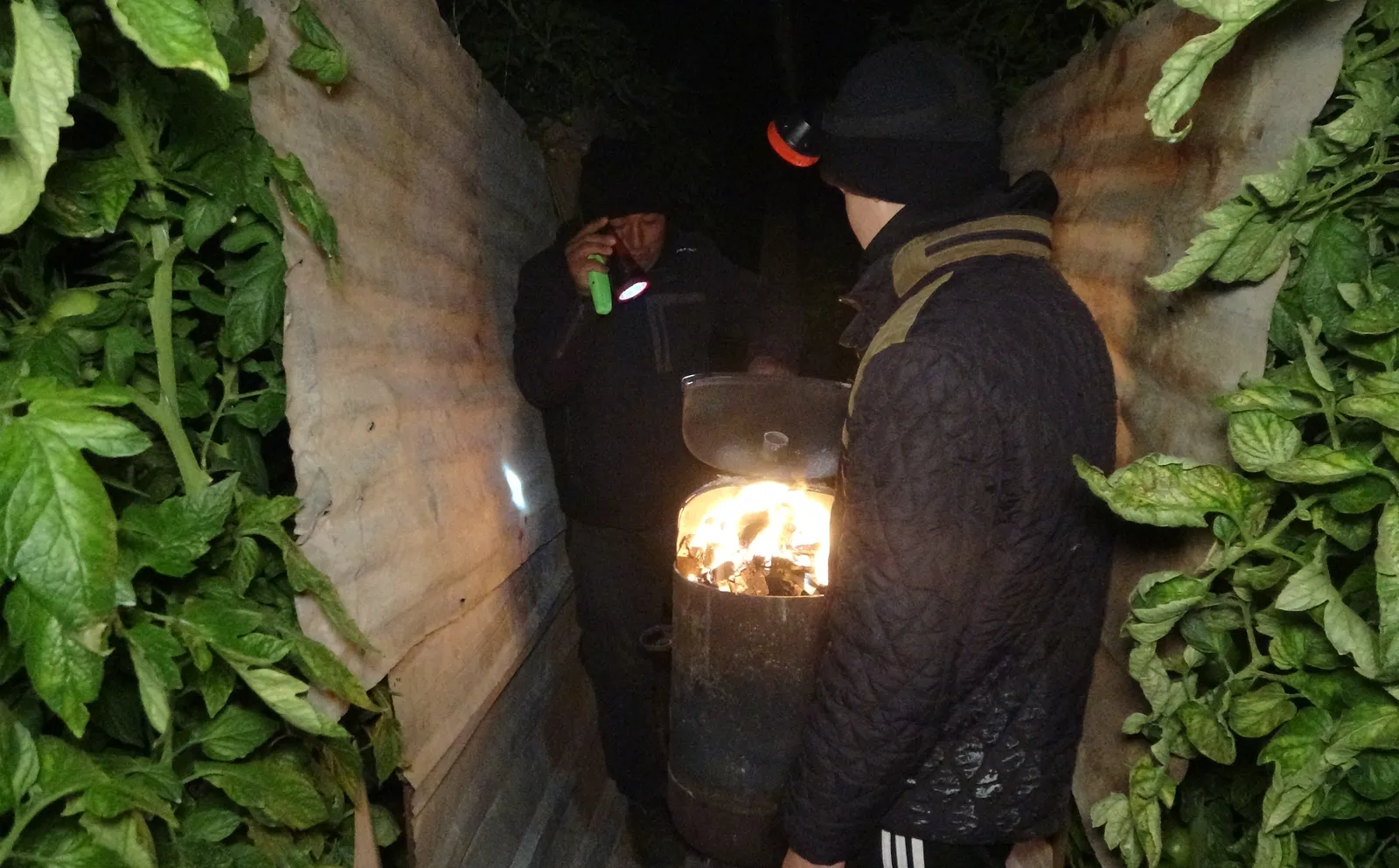Sobalar Yakıldı, Zirai Don Nöbeti Başladı