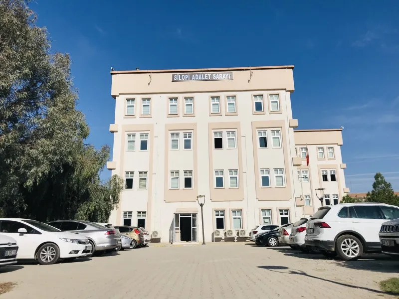 Hamile Tedavisi ve Kürtaj Dolandırıcılığı, Doktor Tutuklandı
