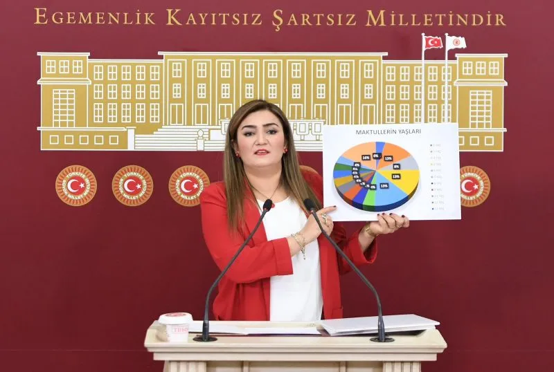 Milletvekilleri ve aktivistler hükümetin ev içi şiddet konusunda harekete geçmesini istiyor