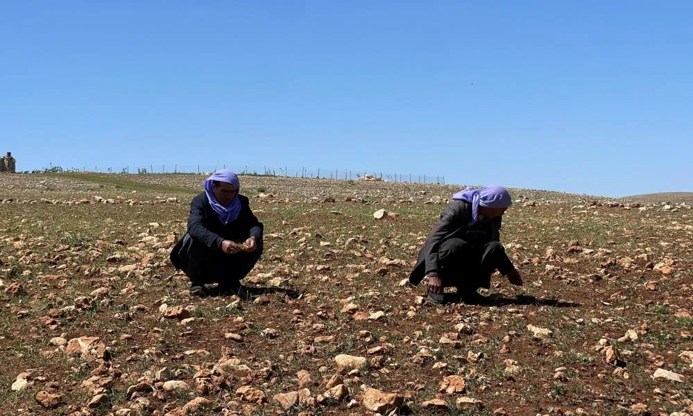 Şanlıurfa’da Kuraklık Alarmı