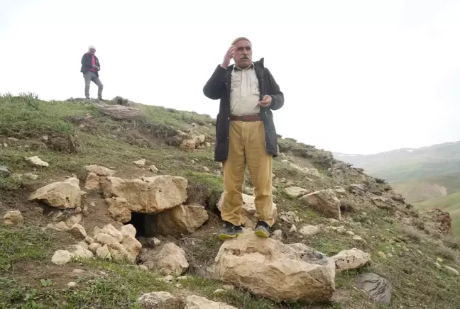 Muş'ta Hayvan Otlatan Köylüler Yeni Bir Kale Keşfetti