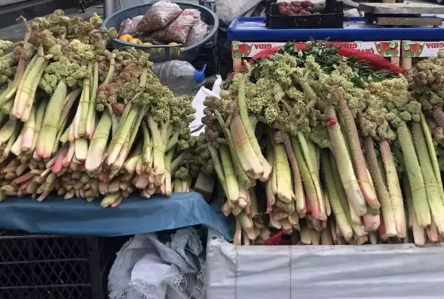 Ünü ABD'ye Kadar Yayıldı! Kanserin Yeni İlacı