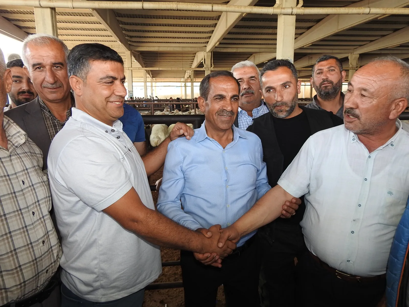 Küçükbaşta Fiyat Değişmedi, Pazarlıklar Hızlandı