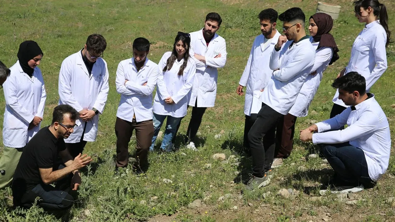Diyarbakır’da Yeni İlaç Arayışı: 2 Bin Bitki Analiz Edildi