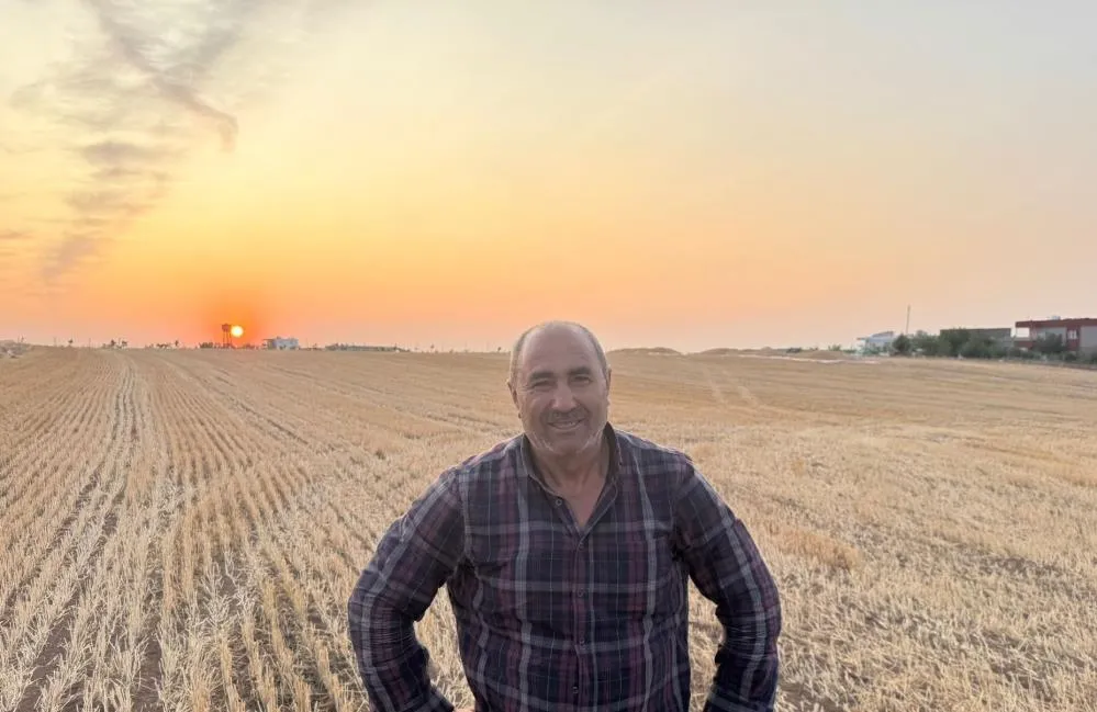 Siirt’te Buğday Hasadında Çiftçiler Umduklarını Bulamadı