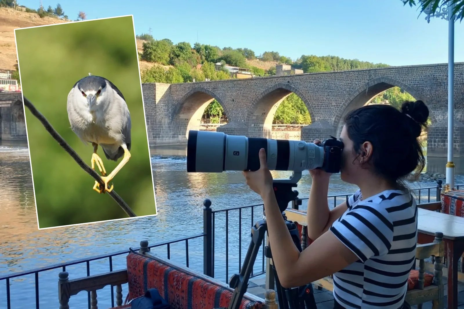 Doğa Fotoğrafçısı Taş, Hevsel Bahçelerini Objektifine Taşımaya Devam Ediyor