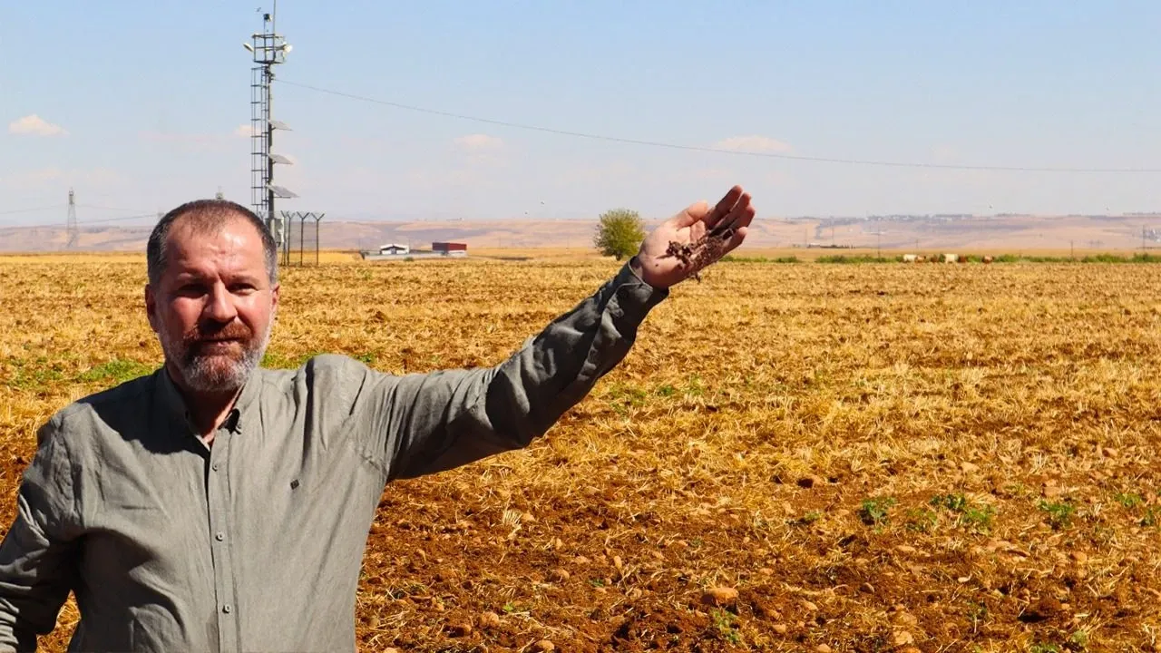 Diyarbakır'da Çiftçinin Alın Teri Tarlada Kurudu: Tarım SOS Veriyor