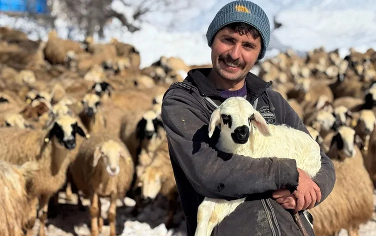 Atanamayan Öğretmen Adayı Köyüne Dönüp Hayvancılığa Başladı