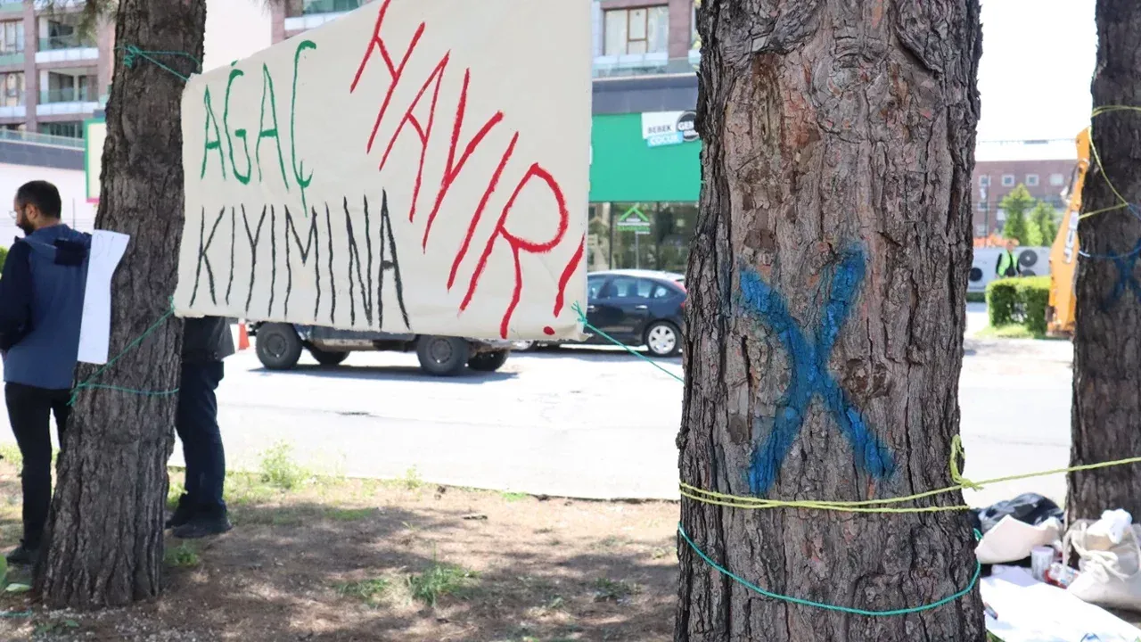 Diyarbakır’da Ağaç Direnişi