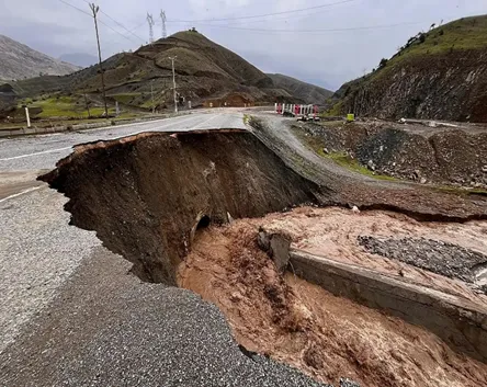 İhmalin Bedeli: Siirt Selinin Perde Arkası
