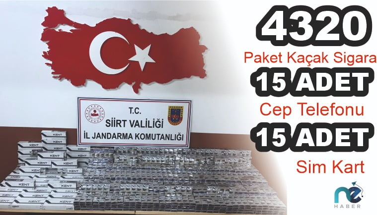 Siirt ve Şırnak'ta 20 Şüpheliden 15'i Gözaltına Alındı