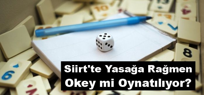 Siirt'te Yasağa Rağmen Okey mi Oynatılıyor?