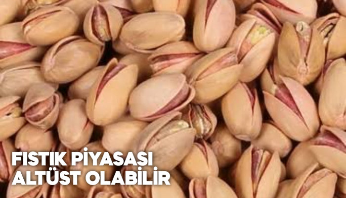 FISTIK PİYASASI ALTÜST OLABİLİR