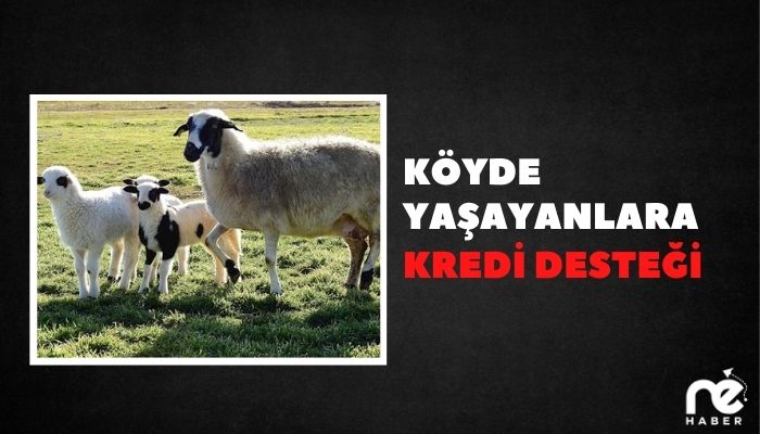 KÖYDE YAŞAYANLARA KREDİ DESTEĞİ