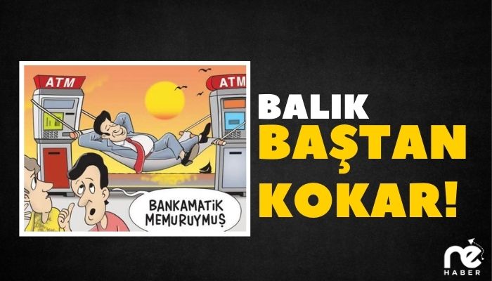 BALIK BAŞTAN KOKAR!