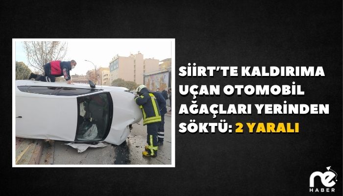 Siirt’te kaldırıma uçan otomobil ağaçları yerinden söktü: 2 yaralı