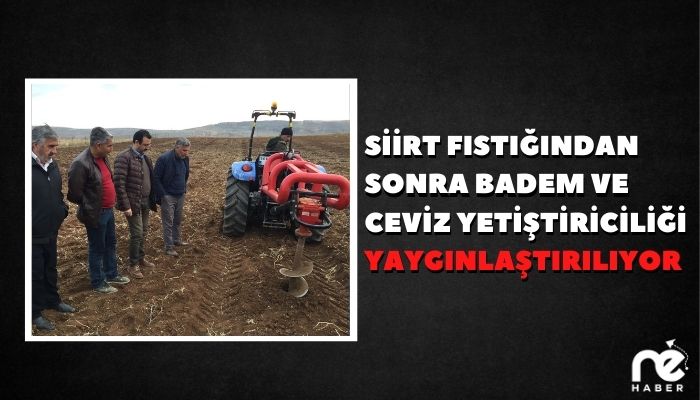 SİİRT FISTIĞINDAN SONRA BADEM VE CEVİZ YETİŞTİRİCİLİĞİ YAYGINLAŞTIRILIYOR