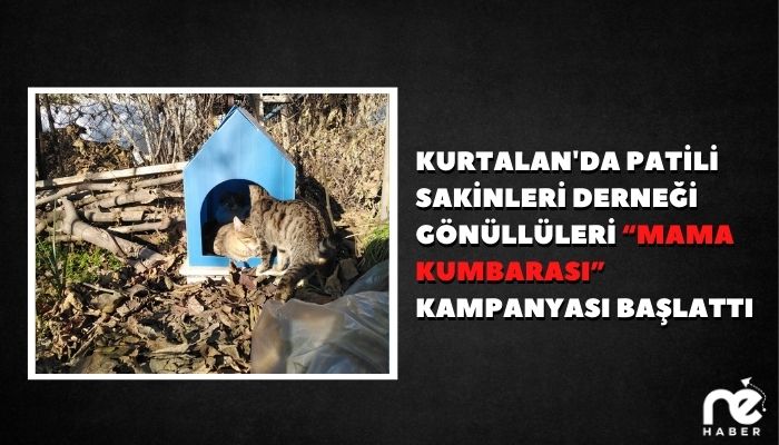 KURTALAN'DA PATİLİ SAKİNLERİ “MAMA KUMBARASI” KAMPANYASI BAŞLATTI