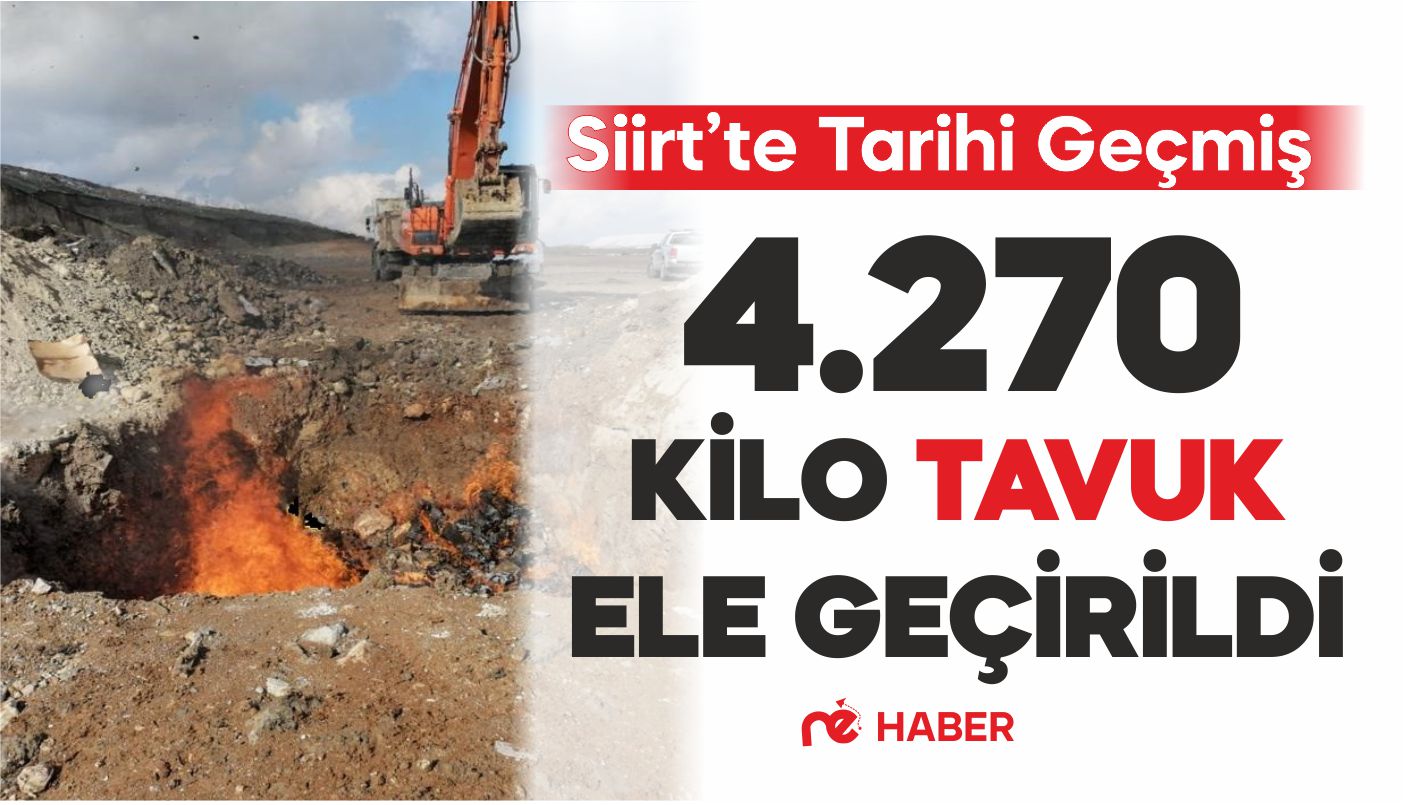 SİİRT'TE TARİHİ GEÇMİŞ 4.270 KİLO TAVUK ELE GEÇİRİLDİ