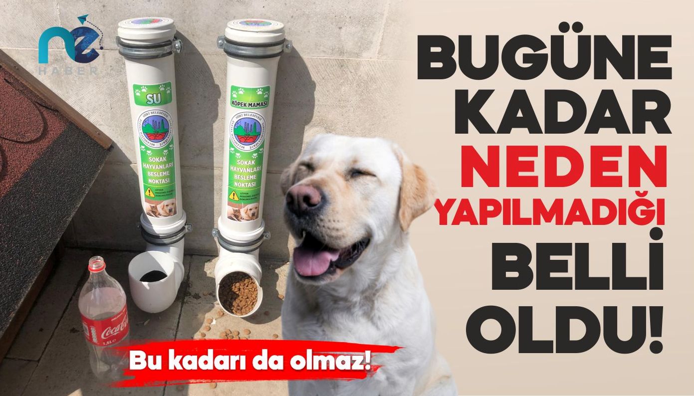 BUGÜNE KADAR NEDEN YAPILMADIĞI BELLİ OLDU