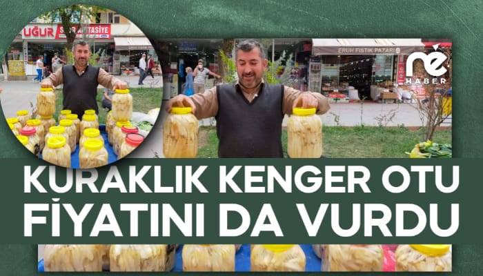 KURAKLIK KENGER OTU FİYATINI DA VURDU