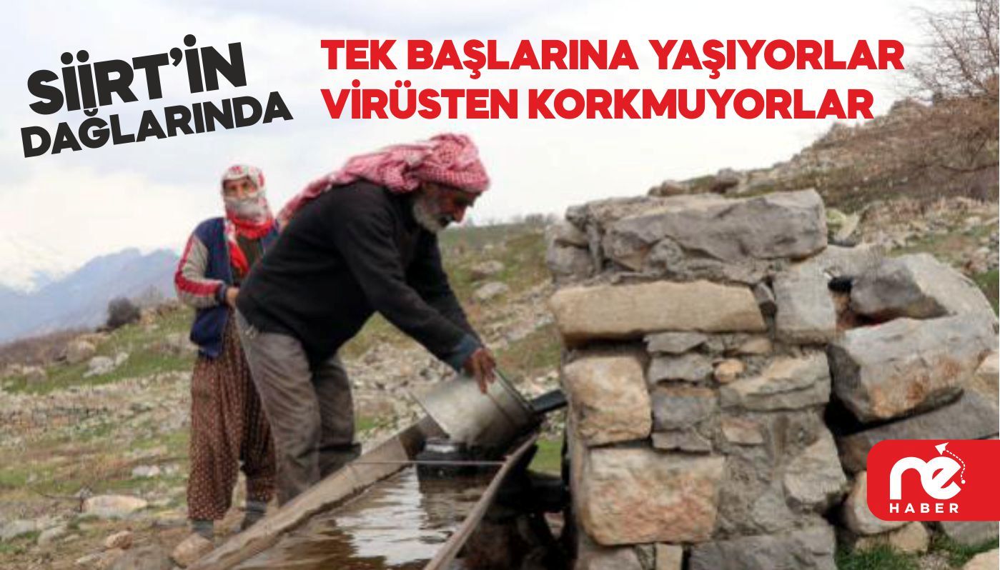 SİİRT’İN DAĞLARINDA TEK BAŞLARINA YAŞIYORLAR, VİRÜSTEN KORKMUYORLAR