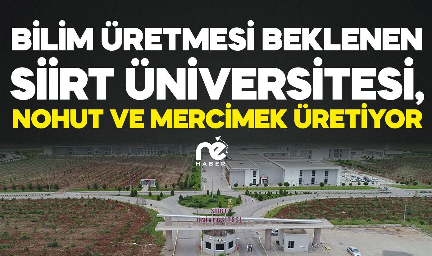 BİLİM VE TEKNOLOJİ ÜRETMESİ BEKLENEN SİİRT ÜNİVERSİTESİ, NOHUT VE MERCİMEK ÜRETİYOR