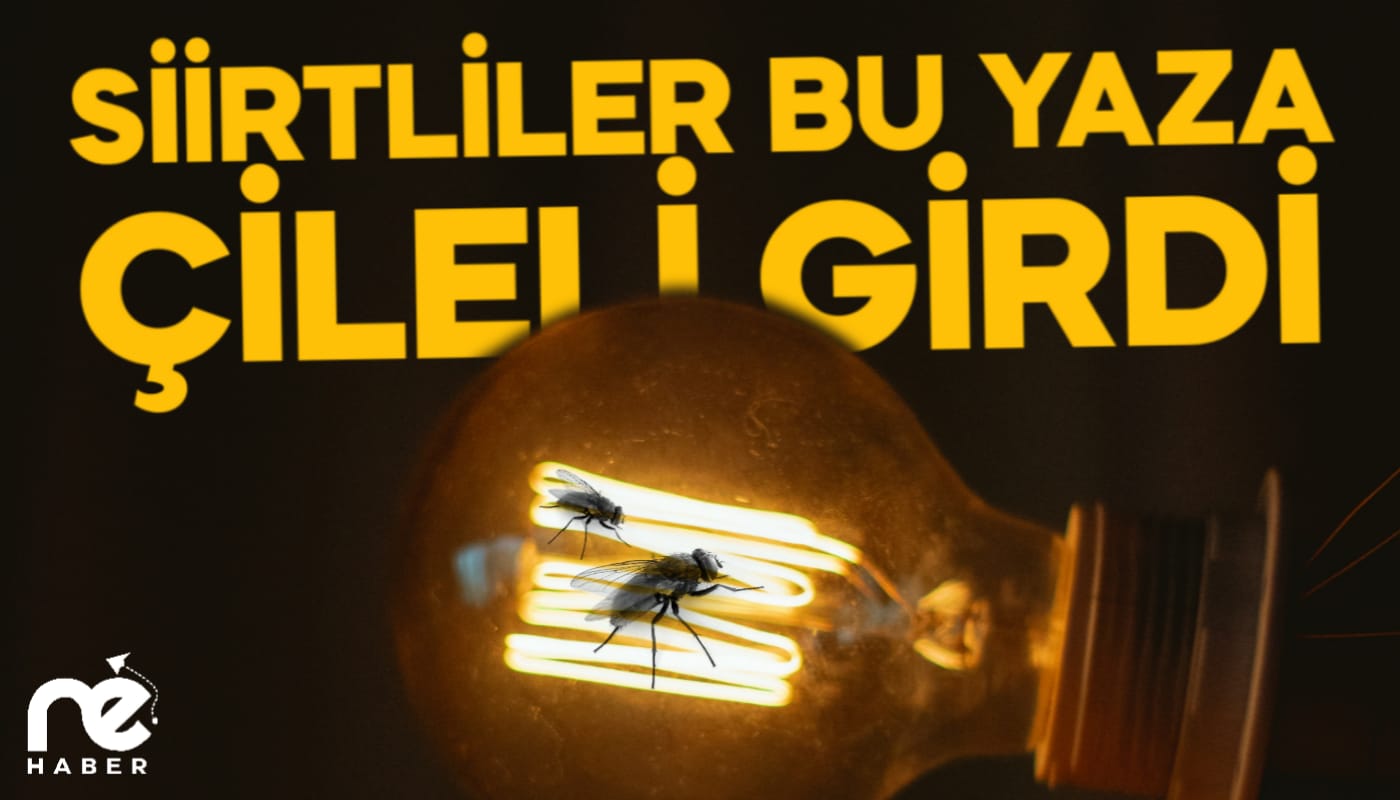 SİİRTLİLER BU YAZA ÇİLELİ GİRDİ