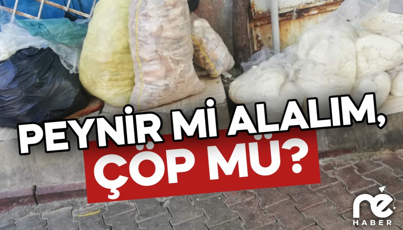 PEYNİR Mİ ALALIM, ÇÖP MÜ?