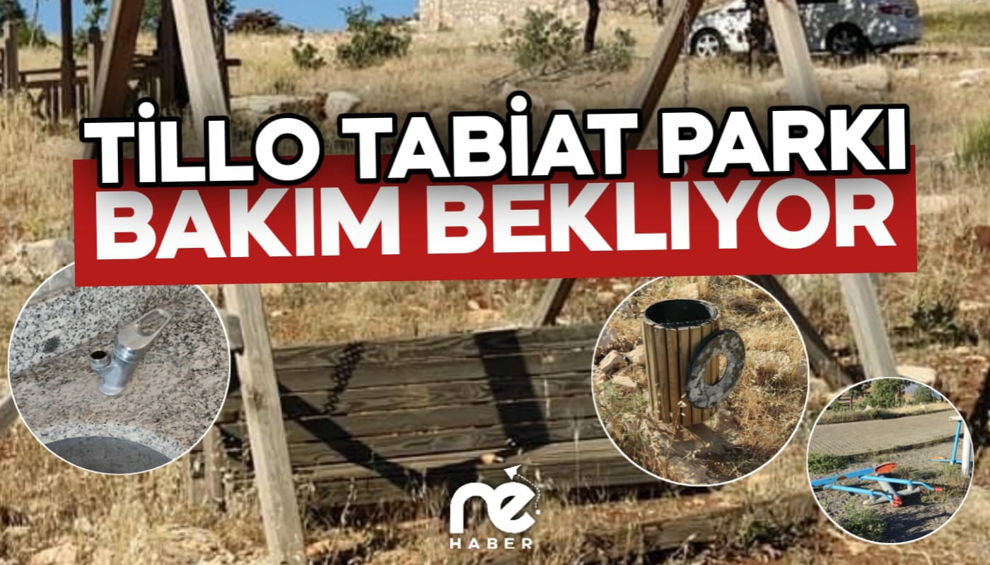 TİLLO TABİAT PARKI BAKIM BEKLİYOR