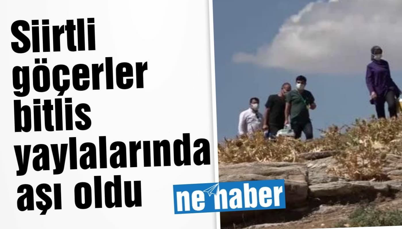 Siirtli Göçerler Bitlis Yaylalarında Aşı Oldu