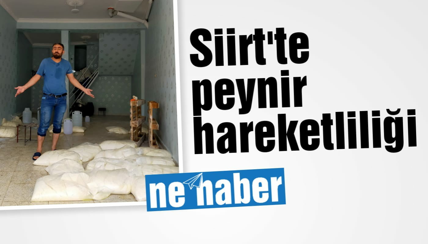 Siirt'te peynir hareketliliği başladı