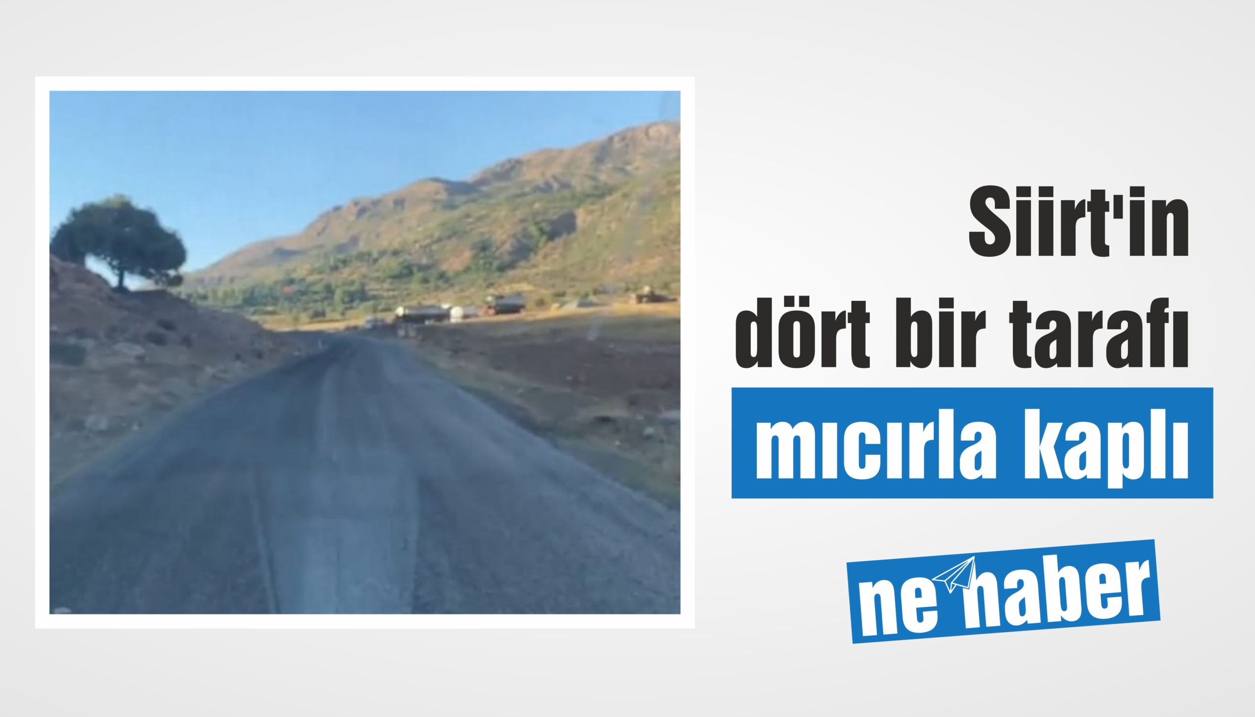 Siirt'in dört bir tarafı mıcırla kaplı