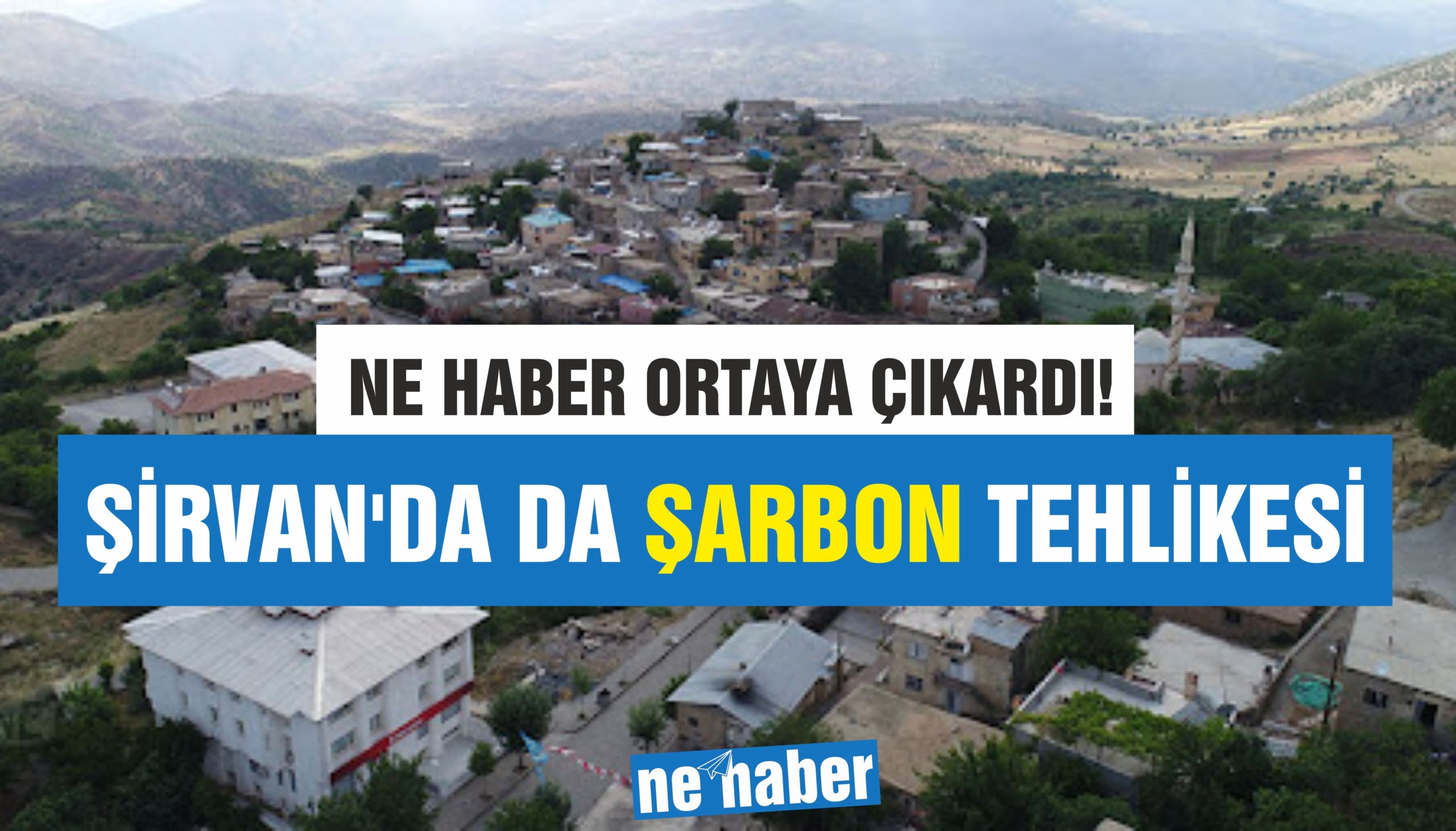 ŞİRVAN’DA DA ŞARBON TEHLİKESİ!