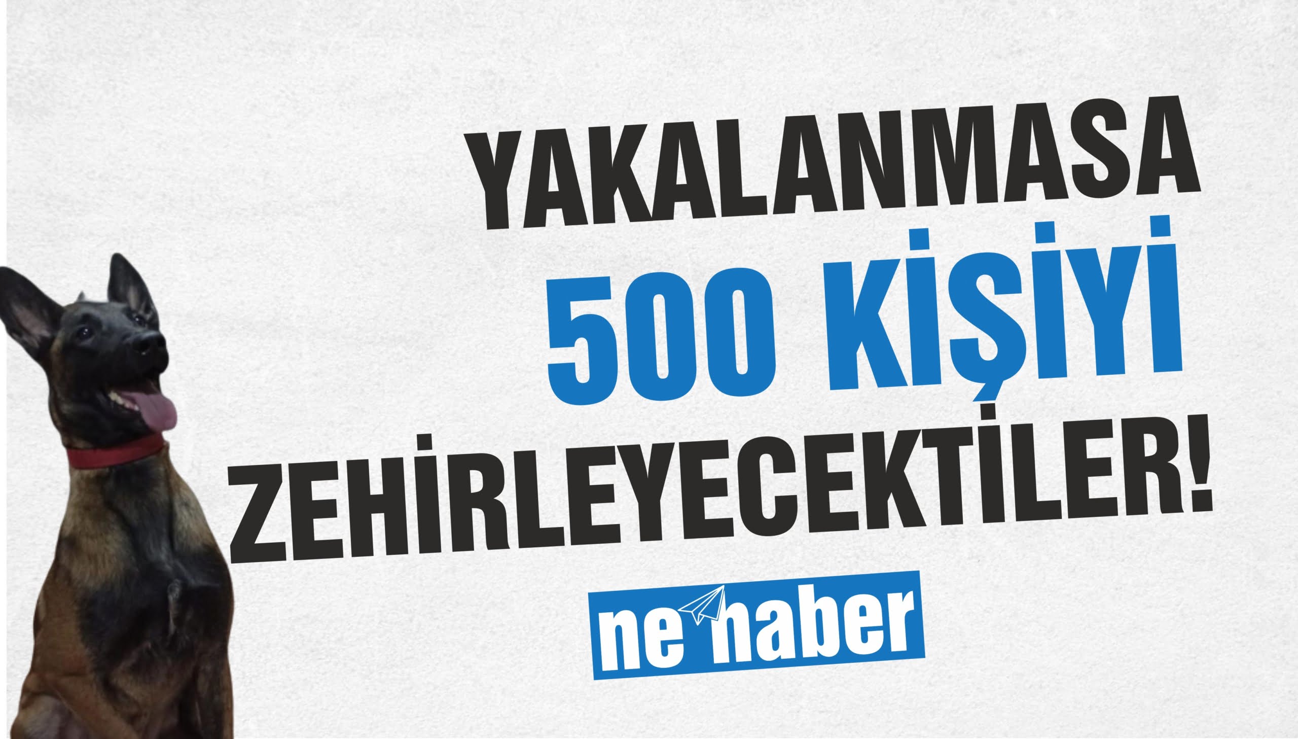 YAKALANMASA 500 KİŞİYİ ZEHİRLEYECEKTİLER