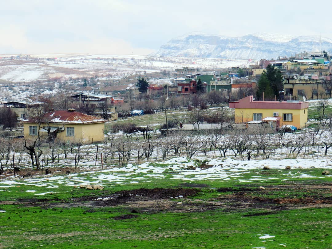 Siirt’te Kar Yağışı Çiftçiyi Umutlandırdı