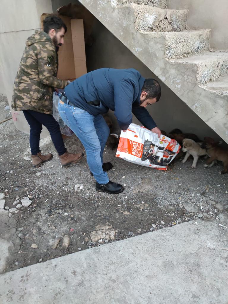 Beyazay Derneği Sokak Hayvanlarını Unutmadı