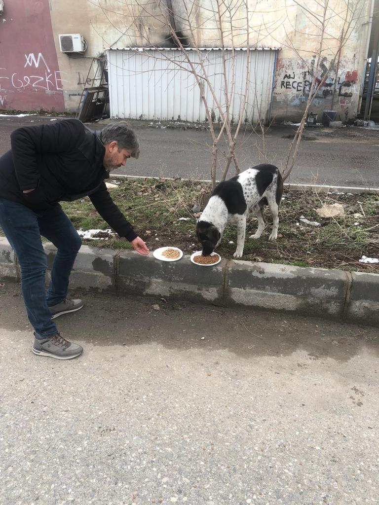 Beyazay Derneği Sokak Hayvanlarını Unutmadı