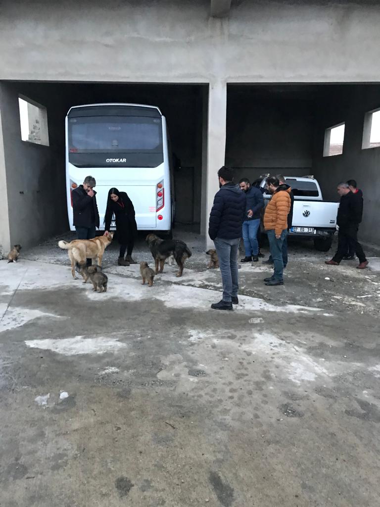 Beyazay Derneği Sokak Hayvanlarını Unutmadı