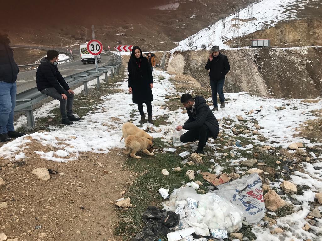 Beyazay Derneği Sokak Hayvanlarını Unutmadı