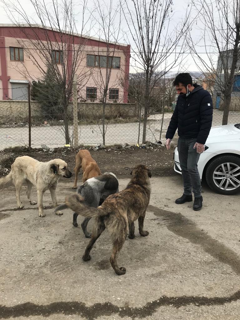 Beyazay Derneği Sokak Hayvanlarını Unutmadı